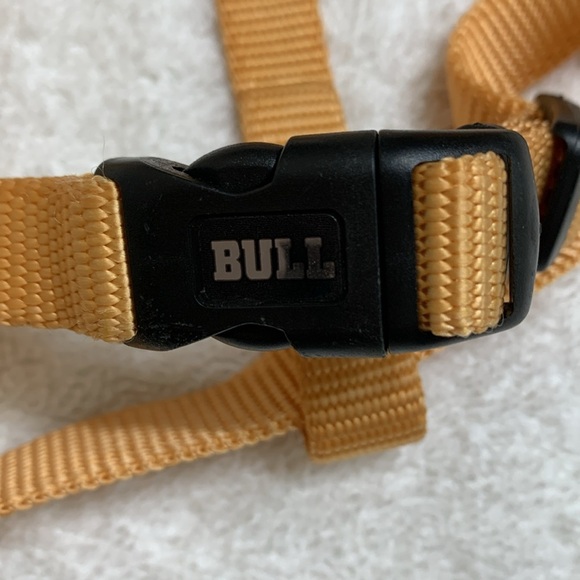 Harness with leash in gold/yellow NWOT - Picture 4 of 8